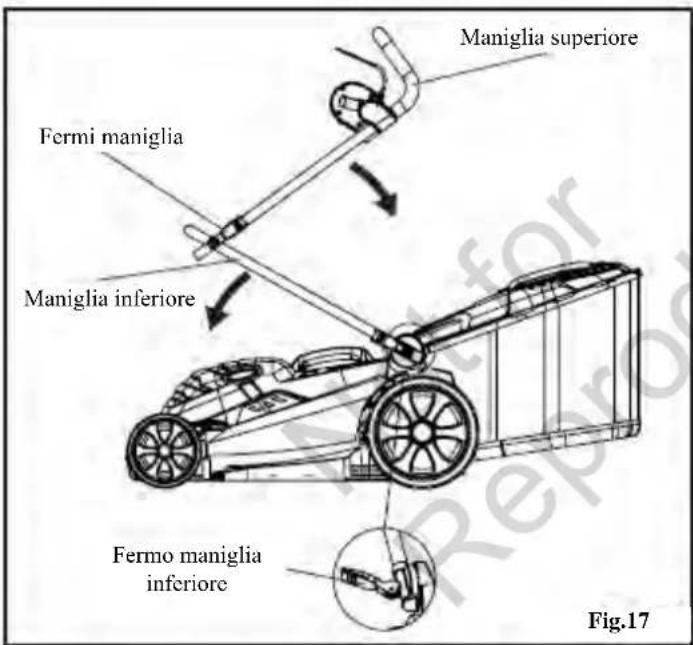 MURRAY EC320 - Conservazione - 1
