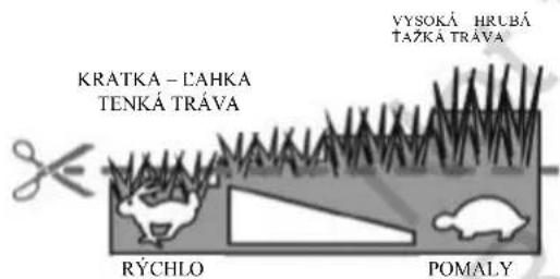 MURRAY EC320 - Sprievodca rýchlym - 2