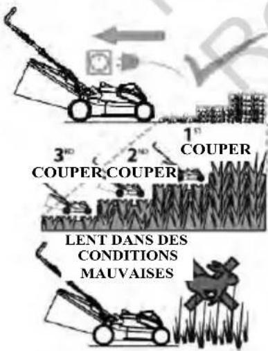 MURRAY EC320 - Guide d'installation rapide - 3