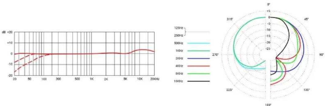 SE Electronics RNR1 - Очистка микрофона - 3