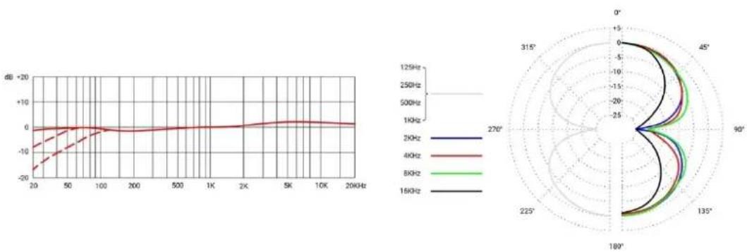 SE Electronics RNR1 - Cleaning the microphone - 5