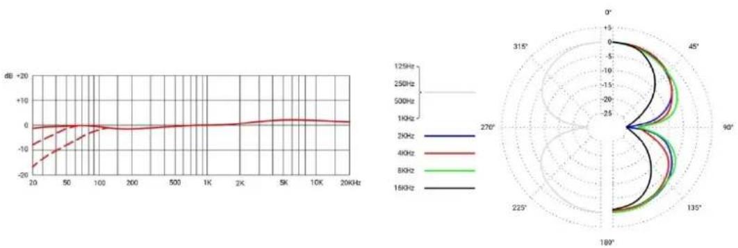 SE Electronics RNR1 - 麦克风的保养 - 5