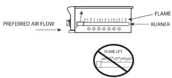Fisher & Paykel BFGC-30BGD-N - WARNING! - 1