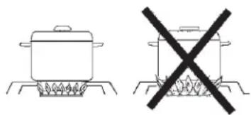 Fisher & Paykel BFGC-30BGD-N - FLAME HEIGHT - 2