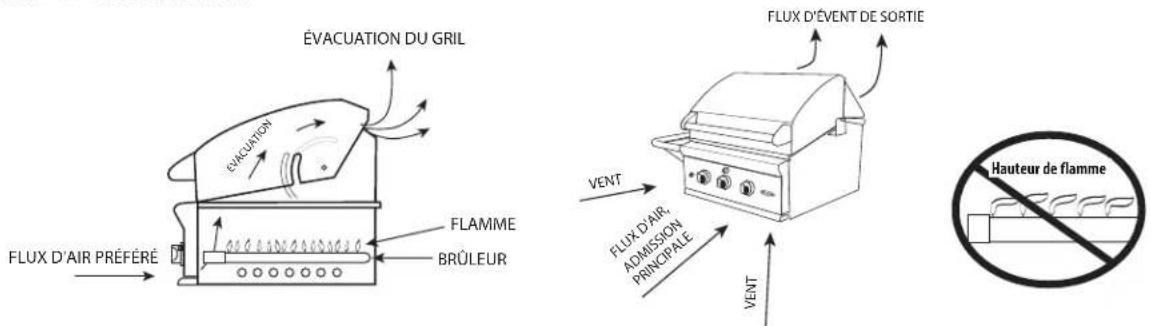 Fisher & Paykel BFGC-30BGD-N - MESURES DE SÉCURITÉ ET DE PRÉCAUTION - 1