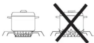 Fisher & Paykel BFGC-30BGD-L - EFFICACITÉ DES BRÛLEURS ET CARACTÉRISTIQUES DE LA FLAMME - 2