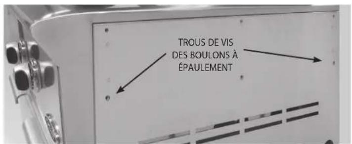 Fisher & Paykel BFGC-30BGD-L - TABLETTE LATÉRALE (accessoire en option) - 1