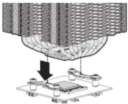 ZALMAN CNPS20X - 1) AMD3 / AMD4 - 7