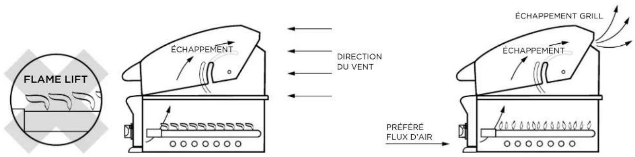 Fisher & Paykel BE1-36RC-N - IMPORTANT! - 1