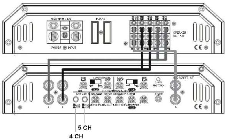 ESX Signum SXE1000.5 - Procedimiento 5: - 9