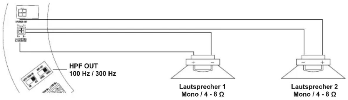 ESX Signum SL300A - LAUTSPRECHERAUSGÄNGE (OPTIONAL) - 1