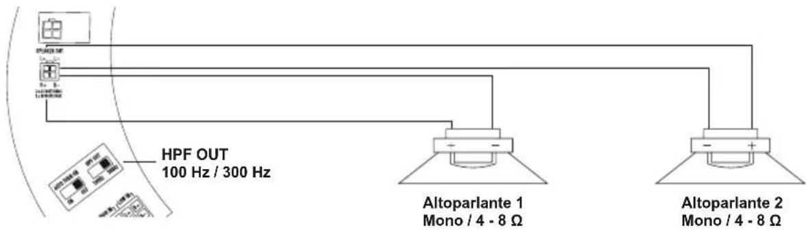 ESX Signum SL300A - USCITE ALTOPARLANTI (OPZIONALI) - 1