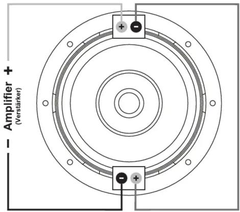 Amplifier + (Verstärker)
