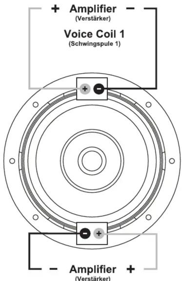 + Amplifier - (Verstärker) Voice Coil 1 (Schwingspule 1) + - + - Amplifier +