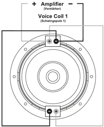 + Amplifier (Verstärker) Voice Coil 1 (Schwingspule 1)
