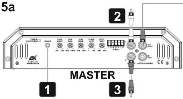 ESX Signum SXE1200.1D - Procedimiento 5: - 7