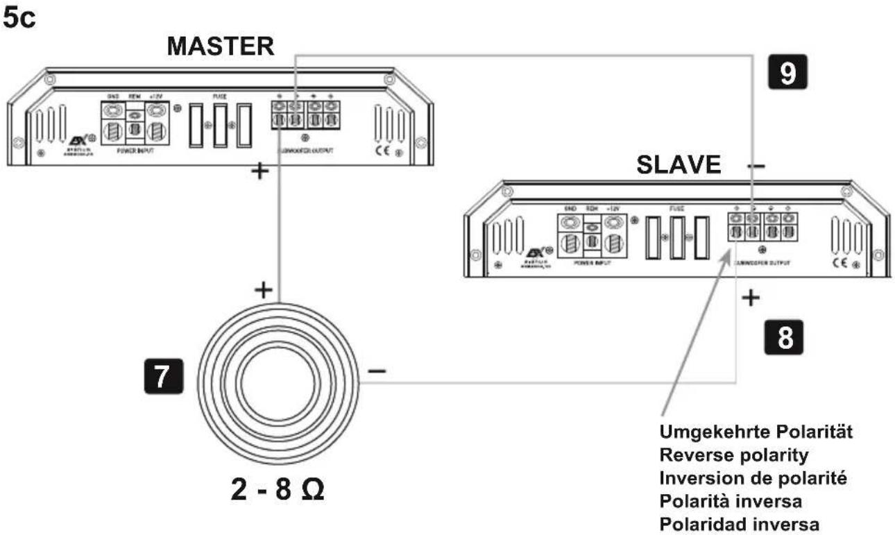 ESX Signum SXE1200.1D - Procedimiento 5: - 11