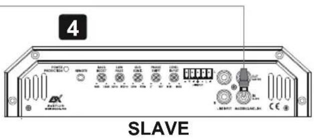 ESX Signum SXE1200.1D - Procedimiento 5: - 8