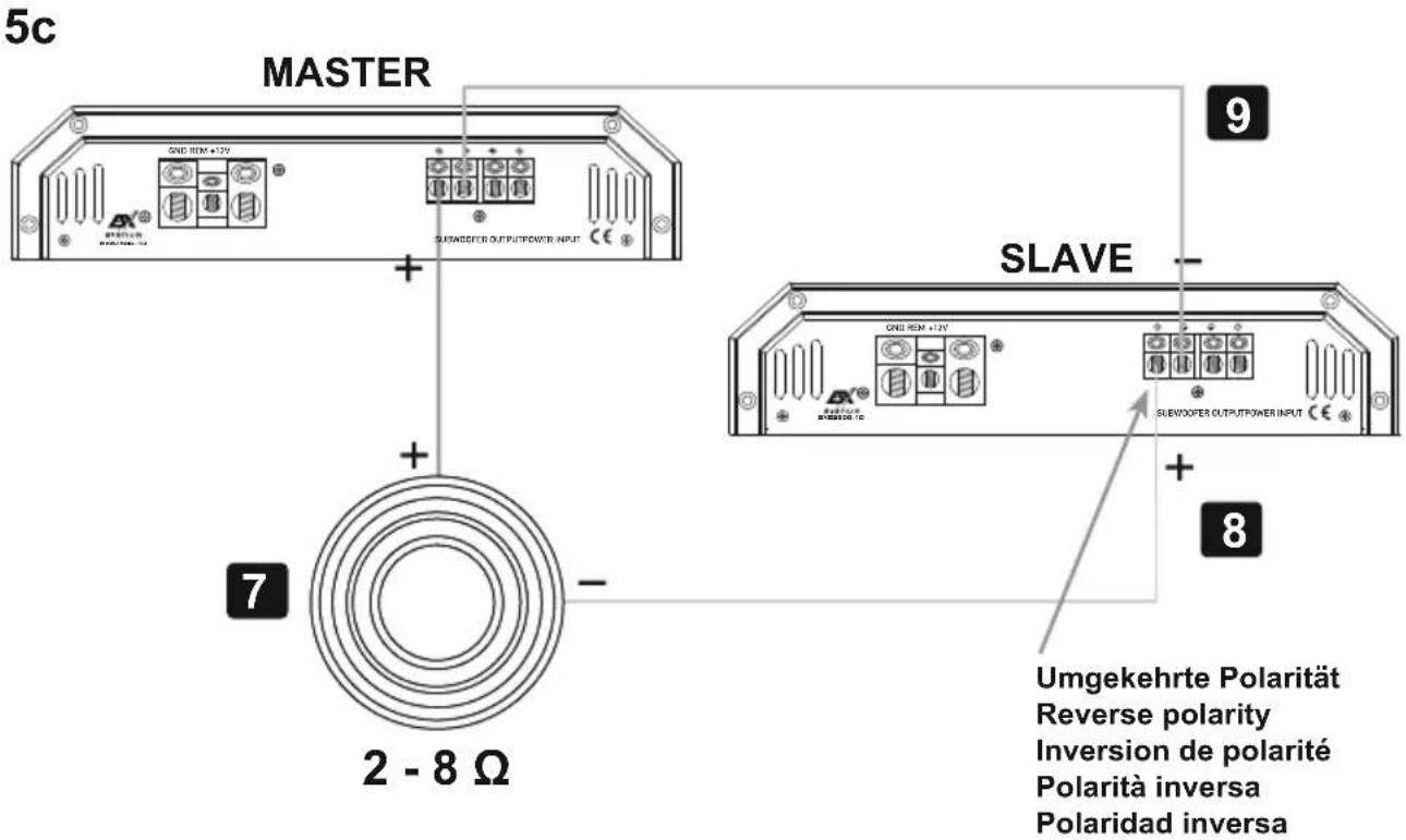 ESX Signum SXE2800.1D - Procedimiento 5: - 11