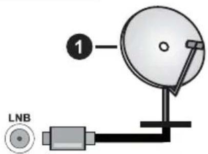 PANASONIC TB-43W63AE9 - Parte posterior de la TV - 1