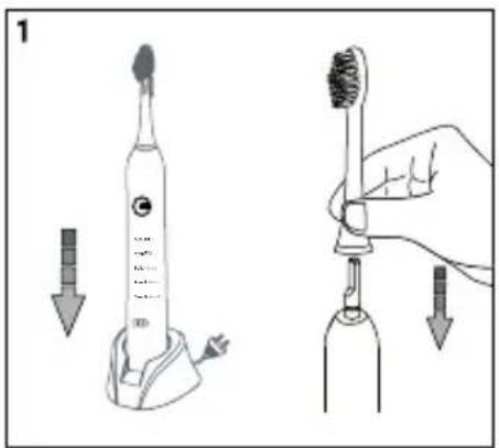 Create Sonic Pearl - SCHAKELEN TUSSEN REINIGINGSMODI - 1