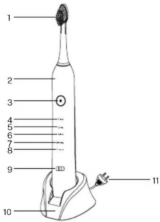Create Sonic Pearl - TÉCNICA DE CEPILLADO - 1
