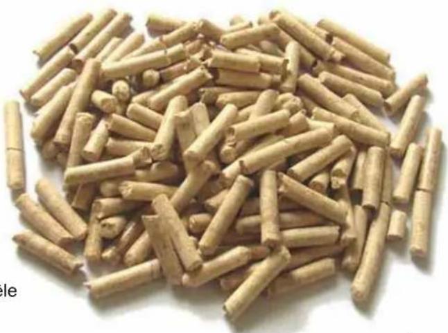 Palazzetti Ecofire Mirella Idro 15 water - STOCKAGE DU PELLET - 1