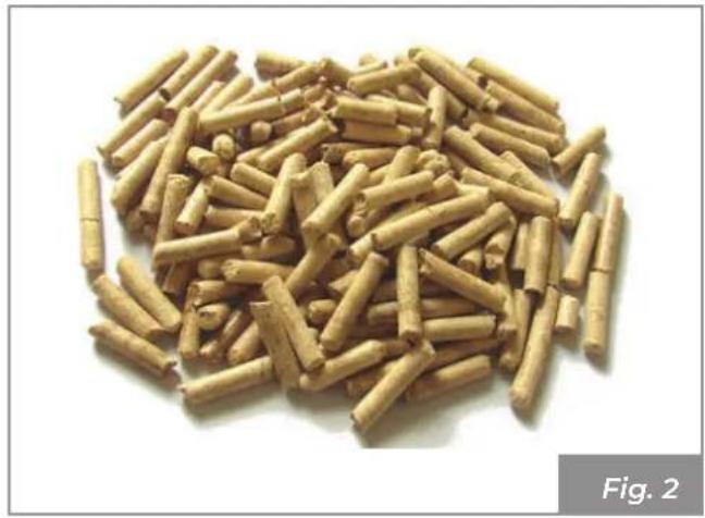Palazzetti Ecofire Melita - Caratteristiche del combustibile - 1