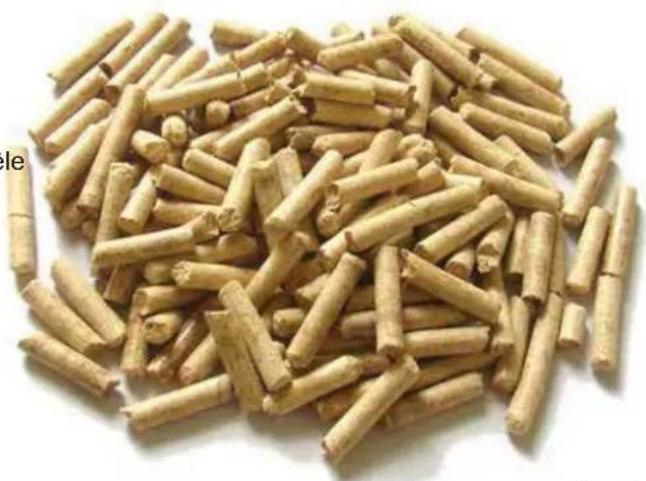 Palazzetti Ecofire Ginger 9 air - STOCKAGE DU PELLET - 1