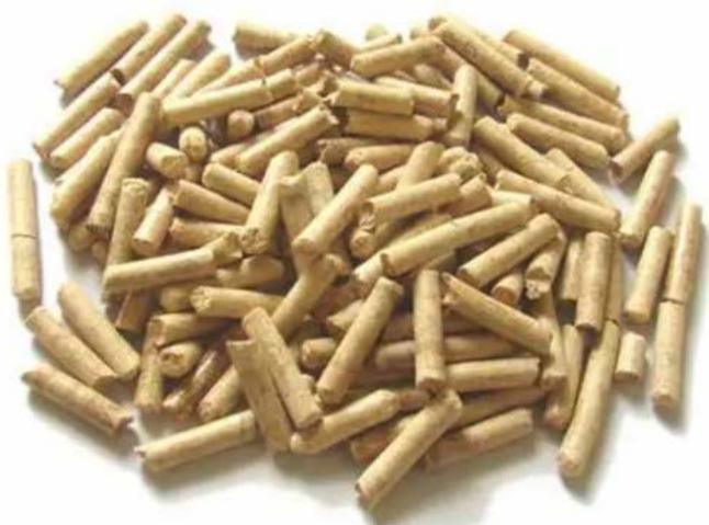 Palazzetti Ecofire Cesare II - STOCCAGGIO DEI PELLET - 1
