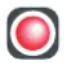 Palazzetti Ecofire Martina Idro Lux 15 water - Status-LED - 4