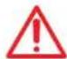 Palazzetti Ecofire for building in A70 air - Avertenze per l'installatore - 2
