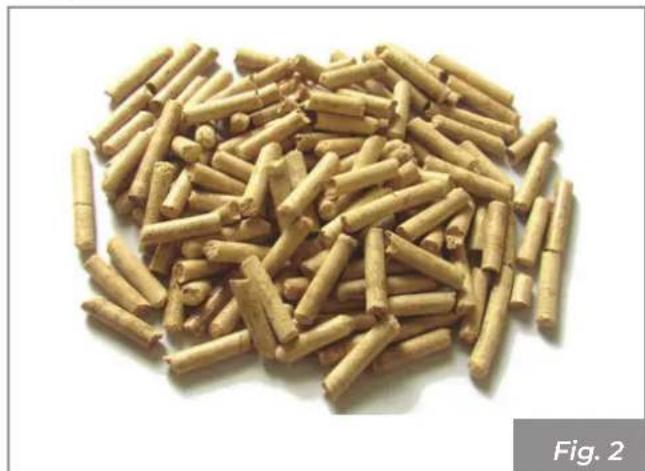Palazzetti Ecofire for building in A70 air - Característica del combustible - 1