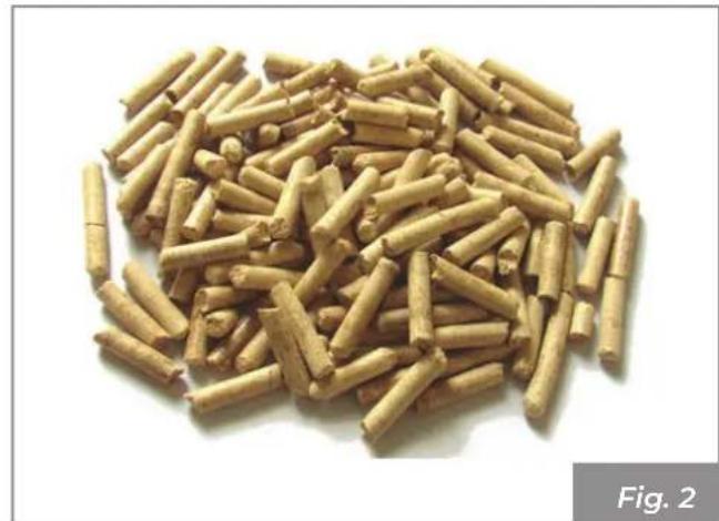 Palazzetti Ecofire for building in A70 air - Caratteristiche del combustibile - 1