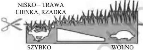 MURRAY EC370 - Krótka instrukcja obsługi - 2