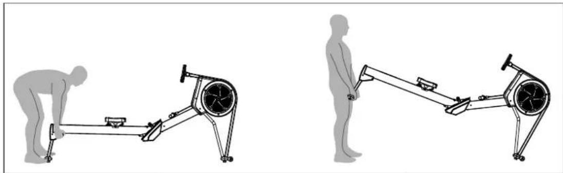 TAURUS Elite Row - ATTENTION - 1