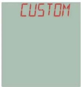 CUSTOM