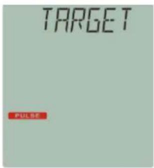 TARGET PULSE