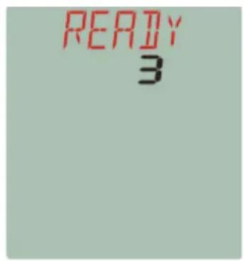 READY 3