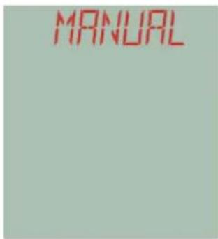 MANUAL