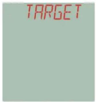 TARGET
