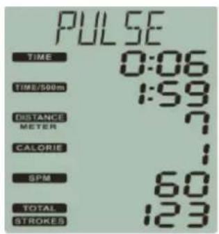 PULSE TIME 0:06 TIME/500m 1:59 DISTANCE ? METER ? CALORIE 1 SPM 60 TOTAL 123 STROKES