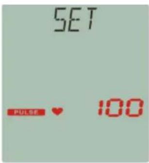 SET PULSE ♥ 100