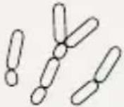 LAURASTAR The Box - EL DRY MICROFINE STEAM (DMS) HIGIÉNICO DE LAURASTAR - 5