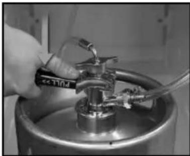 Igloo IBK49BK - TAPPING THE BEER KEG - 3