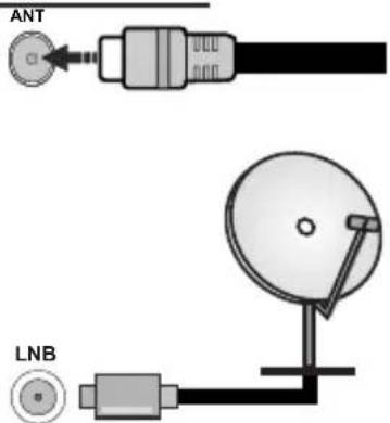 SALORA 50QLED440 - Antenna Connection - 1