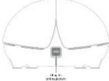 LUMIE Bedbug - 3