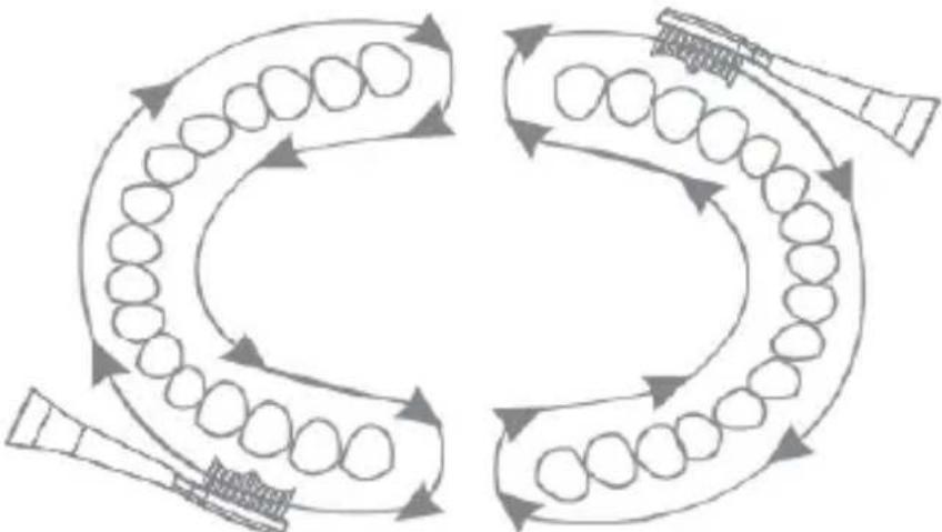 Huslog AL-050131 - TECNICA DI PULIZIA DEI DENTI CON LO SPAZZOLINO SONICO - 3