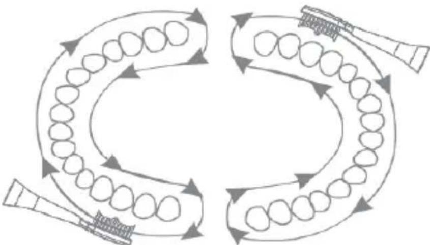 Huslog AL-050131 - TÉCNICA DE LAVADO DE DIENTES CON EL CEPILLO SÓNICO - 3