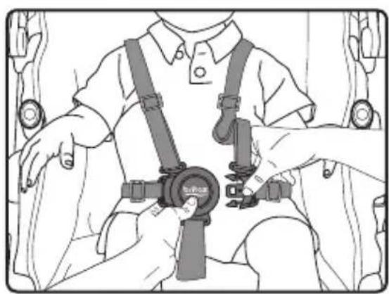 BRITAX B-Clever - Sujeción del niño - 1